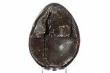 Septarian Dragon Egg Geode - Sparkly Black Crystals #383841-1